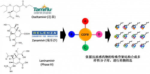 图2：以现有抗流感药物的结构为基础，进行多样性药物分子库的合成。