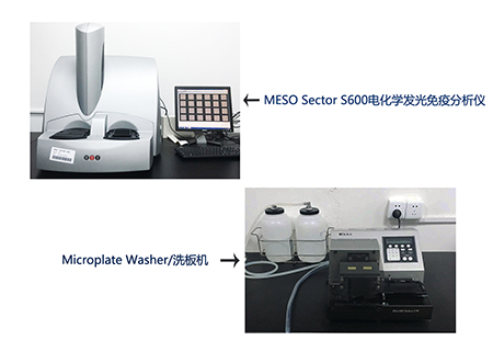 南宫NG·28电化学发光免疫分析仪和全自动洗板机