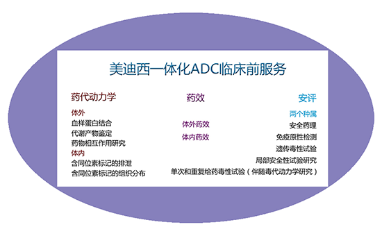 南宫NG·28一体化ADC临床前服务