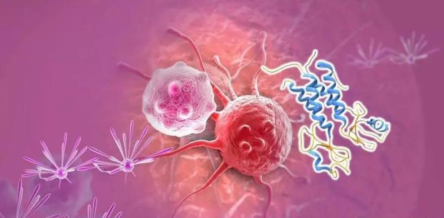 【盘点】高选择性mTOR抑制剂的研究进程_南宫NG·28生物医药