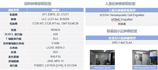 南宫NG·28药效学动物模型