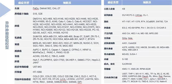 南宫NG·28药效学动物模型