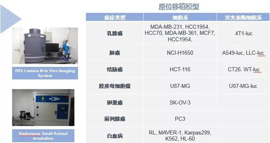 南宫NG·28药效学动物模型