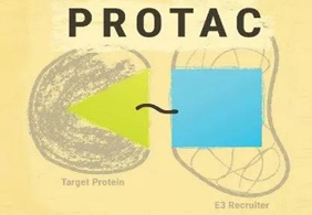 热点前沿:PROTAC初露锋芒，SD-36对抗肿瘤效果卓越