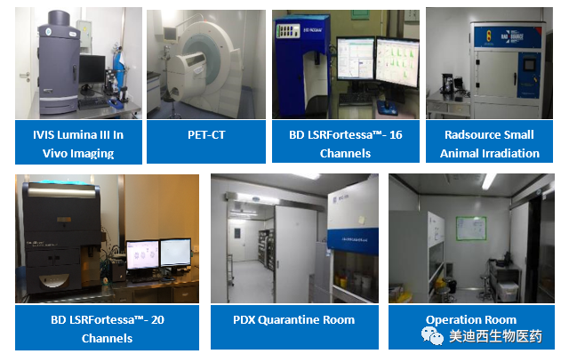 南宫NG·28药理部拥有IVIS Lumina III, PET-CT, BD LSRFortessa-16, Flow Cytometry等仪器，提供符合申报，支持临床试验的药效评价服务。