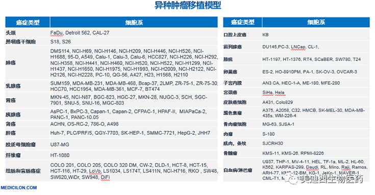 南宫NG·28异种肿瘤移植模型清单