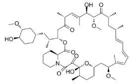 雷帕霉素新制剂用于罕见病，获4500万美元融资