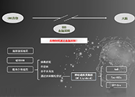 人工合成NT类脂质开放血脑屏障，为CNS药物打开新局面