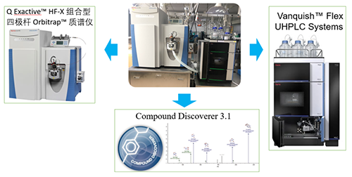 南宫NG·28UHPLC-UV-QE HF-X系统