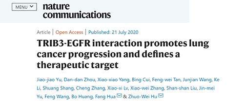 Nature|非小细胞肺癌治疗新方案：靶向降解EGFR