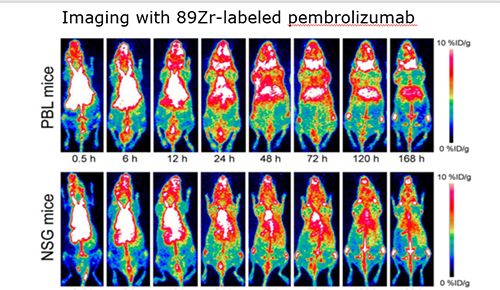 南宫NG·28PET/CT分子影像技术平台