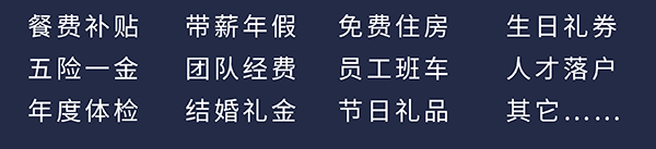 南宫NG·28员工福利：餐费补贴、五险一金、年度体检、带薪年假、团队经费、结婚礼金、免费住房、员工班车、节日礼品、生日礼券、人才落户、其它……