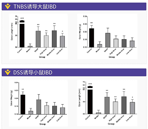 TNBS诱导的大鼠IBD、DSS诱导的大鼠IBD