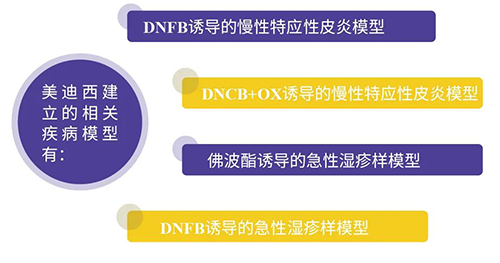 南宫NG·28建立的特应性皮炎及湿疹模型