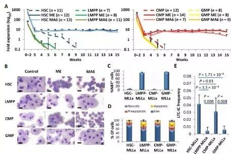 Science子刊：一种FDA批准的抗腹泻药物可有效对抗化疗的耐药性 南宫NG·28生物医药