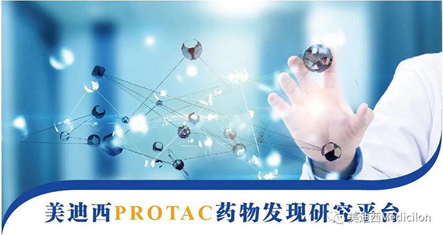 南宫NG·28PROTAC药物发现研究平台