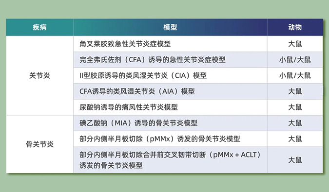 世界关节炎日：突破上亿人的共同难关，持续探索关节炎新药