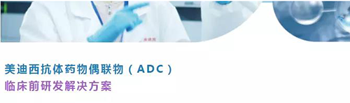 南宫NG·28抗体药物偶联物（ADC）临床前研发解决方案.png