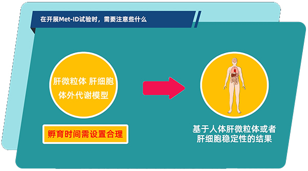 肝微粒体、肝细胞体外代谢模型中，孵育时间需设置合理.jpg