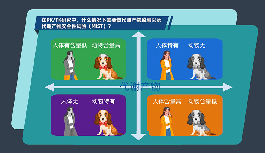 在PK-TK研究中，什么情况下需要做代谢产物监测以及代谢产物安全性试验（MIST）