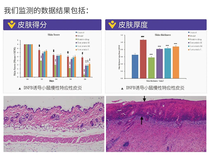 南宫NG·28监测的数据结果.png