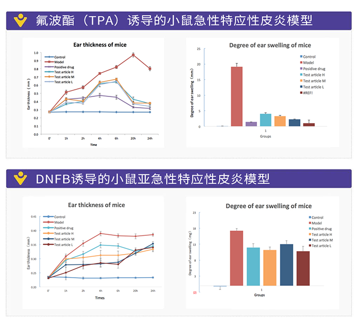 DNFB诱导的小鼠亚急性特应性皮炎模型.png