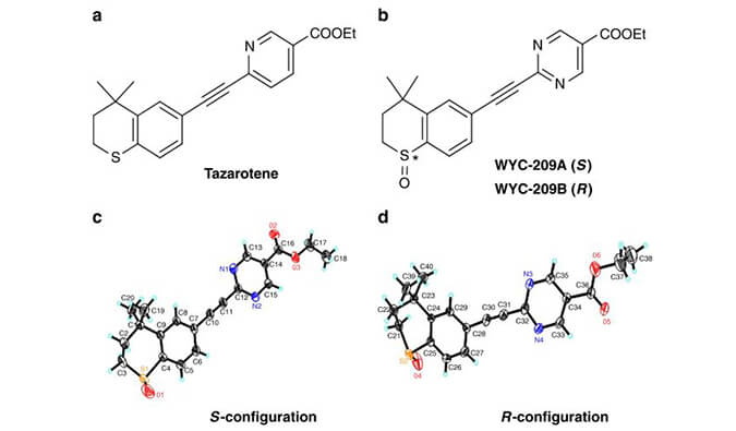 WYC-209可抑制恶性小鼠黑色素瘤肿瘤再生细胞增殖，SPR分析通过南宫NG·28使用Biacore 8K设备进行