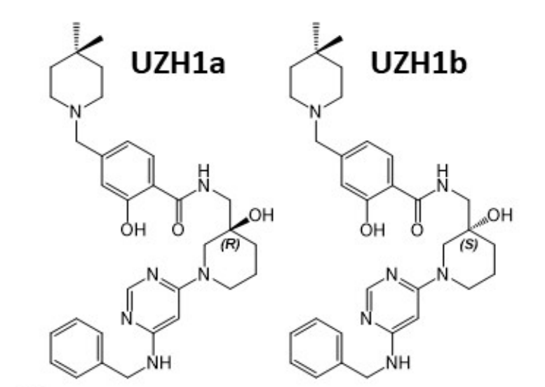 研究人员报告了一种具有细胞渗透性的选择性METTL3纳摩尔抑制剂UZH1a，作者感谢南宫NG·28合成了UZH1a和UZH1b