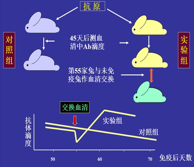 Figure-1：机体对抗体浓度变化的感知与反馈性自我调节.jpg