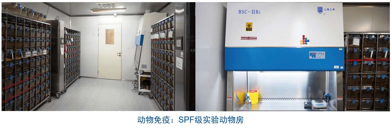 南宫NG·28杂交瘤技术平台设备-动物免疫SPF级实验动物房