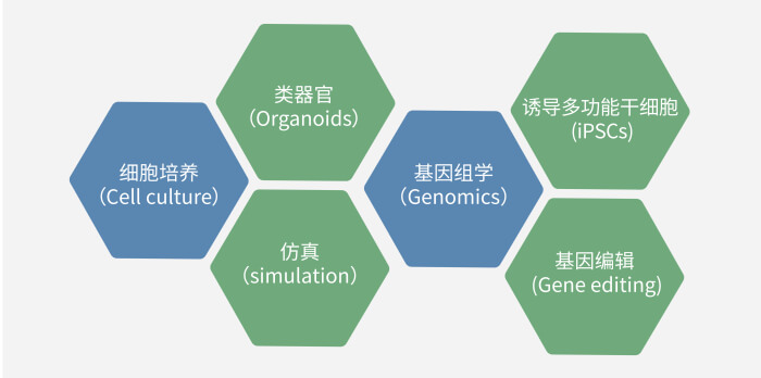 六大技术板块已上线，持续升级中.jpg