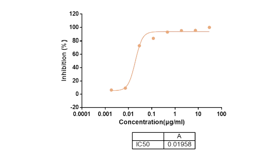 抗体的功能性实验-4.png