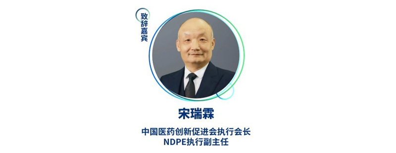 宋瑞霖--中国医药创新促进会执行会长、NDPE执行副主任.jpg