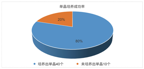 南宫NG·28药物固态开发技术平台.jpg