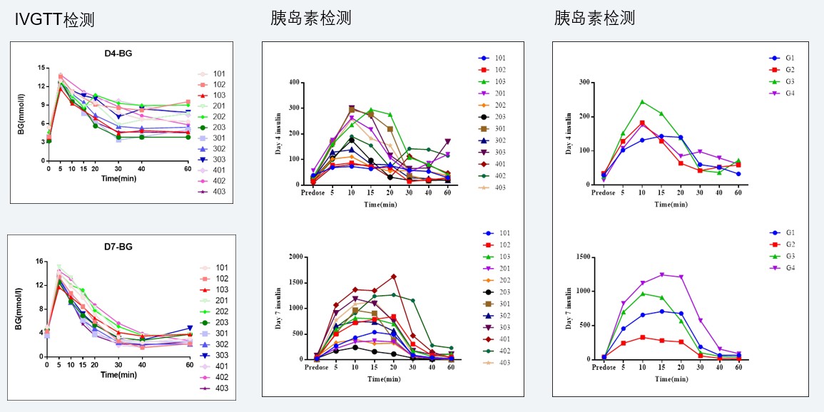 案例4：食蟹猴IVGTT和胰岛素检测实验.jpg